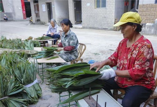 上山摘 金叶 勤劳的淳安人这样致富